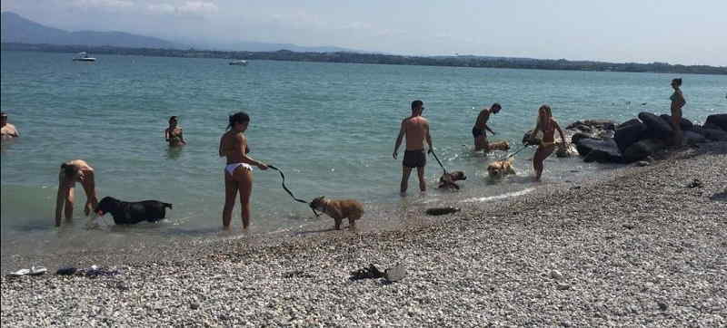 Spiaggia per cani a Peschiera del Garda